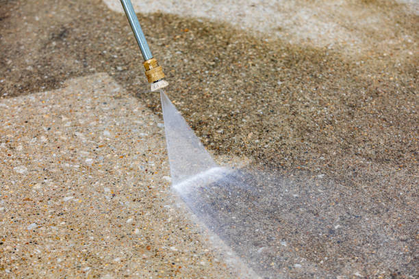 Animal Enclosure Cleaning in Interlaken, CA